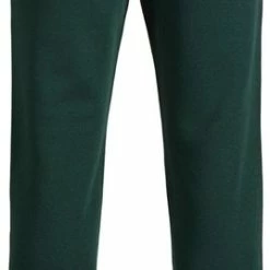 Alternative view of JACK & JONES JUNIOR JPSTGORDON JJNEWSOFT SWEAT PANT NOOS JNR - Maat 128