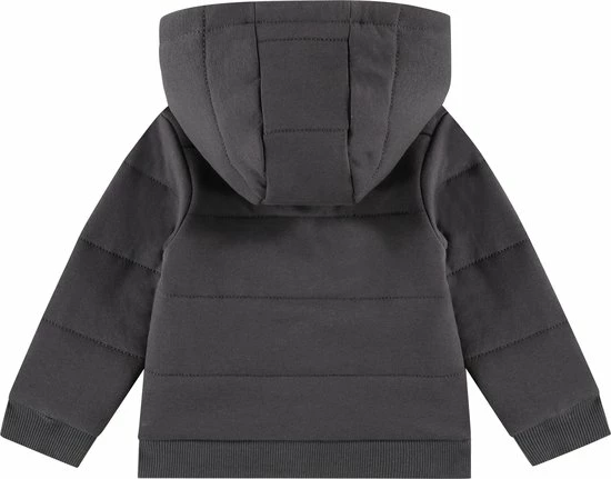 Babyface Baby Boys Jacket Jongens Jas - Maat 74 4 Babyface Baby Boys Jacket Jongens Jas - Maat 74 - Afbeelding 2