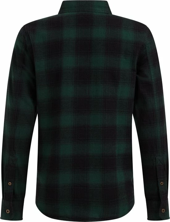 WE Fashion Jongens Geruit Overhemd - Donkergroen - Maat 110/116 4 WE Fashion Jongens Geruit Overhemd - Donkergroen - Maat 110/116 - Afbeelding 2