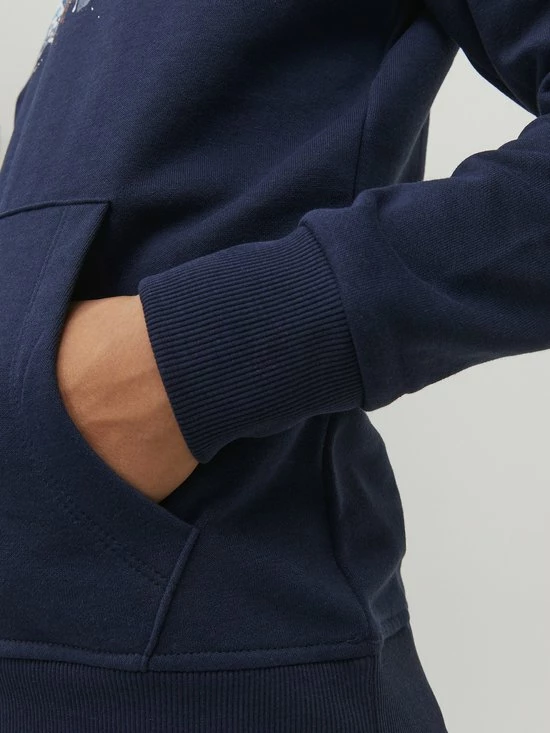 JACK & JONES JUNIOR JACK&JONES JUNIOR JJTEAR SWEAT HOOD JNR Jongens Trui - Maat 164 5 JACK & JONES JUNIOR JACK&JONES JUNIOR JJTEAR SWEAT HOOD JNR Jongens Trui - Maat 164 - Afbeelding 3